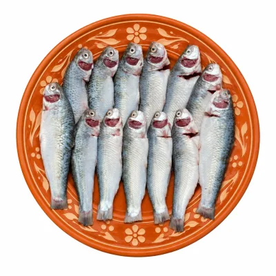 টাটকিনি মাছ